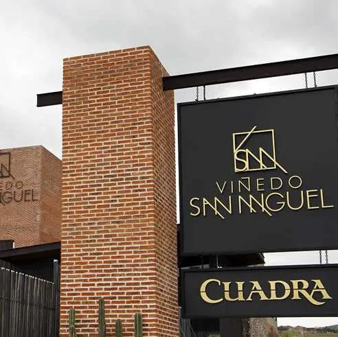 Viñedo San Miguel, imagen 3
